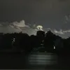 trnf.minh