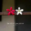 ooeeoo6