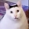y0ulaughy0ulose