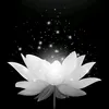 _thu_hien_200