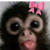 yo.nose02