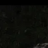 abdu.alrim1