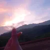 thao.nguyen.phuon4