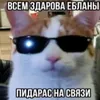 smehigreh.wsh