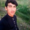 farman.ullah2934