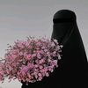 _rashe_rifai