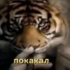 deymorian