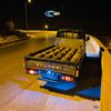 alialg66001