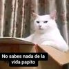 j.flores_97