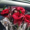 logy.mohamed435