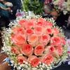 tulipflower477