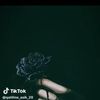 user8061090191767