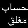 amera_91_a