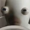 bwa_bwa4