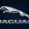 jaguar14774