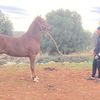 moad_188