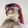 qatar.974_4