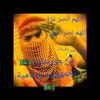 user485404157216