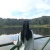 refajulianti__