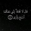 user86367278732416