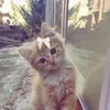 patriciaxie