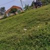 user4559967203784
