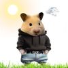 santi_carranz3525