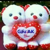 hoi.v2382