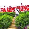 fb_nguyen_ha_94
