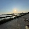 chanhkochua11111111