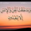 user224378167529