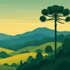 guyfrombrazil84
