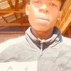 dino.major1
