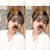 cimott_1109