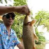 mai.linh4182