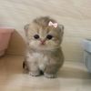 gwbwuwnjw