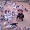 issaalahmad16
