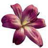row_re36