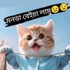 ♞●──༅༎^পিরিতের বিয়াই ^༎༅──●♞