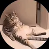 bao_chu06