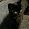 ktkat.06