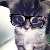 valerie.on.pawz