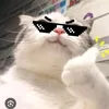 urrboyyy_princeeryyy