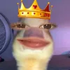 phqngaa