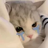 tlk_221