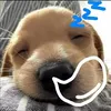 lengocdiemquynhh11_10