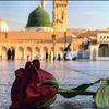 jatoi233