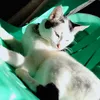 ashyiel_09