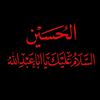 razabaqir313