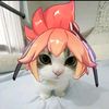 kingfanny1441